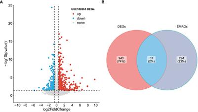 Diagnostic potential of energy metabolism-related genes in heart failure with preserved ejection fraction